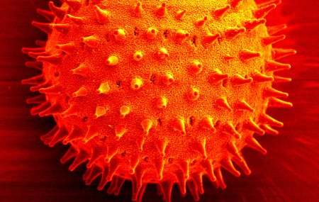 Allergy Partners of Oklahoma